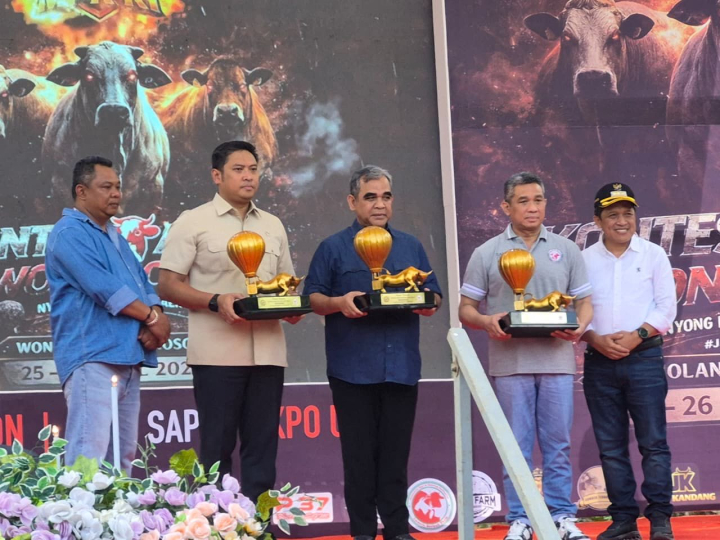 Wonosobo Diproyeksikan Jadi Sentra Baru Sapi Perah dan Pedaging Nasional