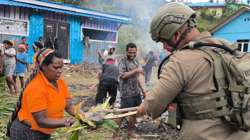 Satgas Operasi Damai Cartenz Hadiri Tradisi Bakar Batu di Intan Jaya, Perkuat Kedekatan dengan Warga