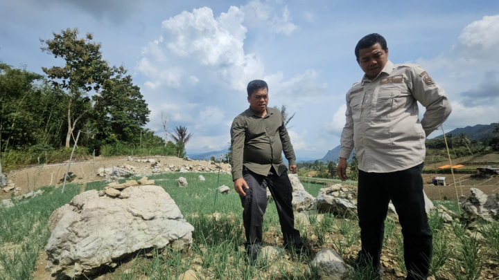 Kementan Percepat Pengembangan Hortikultura Lahan Kering di Enrekang Hadapi El Nino