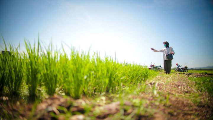 Pertanian Indonesia Melesat, Ekspor Naik 28 Persen dan Impor Turun