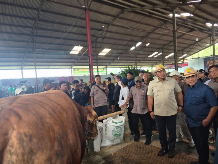 Kontes Sapi APPSI Wonosobo 2026 Dongkrak Semangat dan Kualitas Peternak