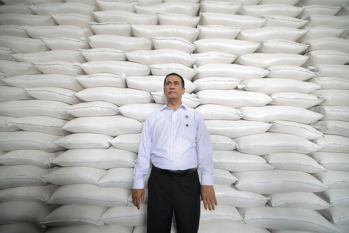 Produksi Melonjak, Indonesia Dipastikan Capai Swasembada Beras