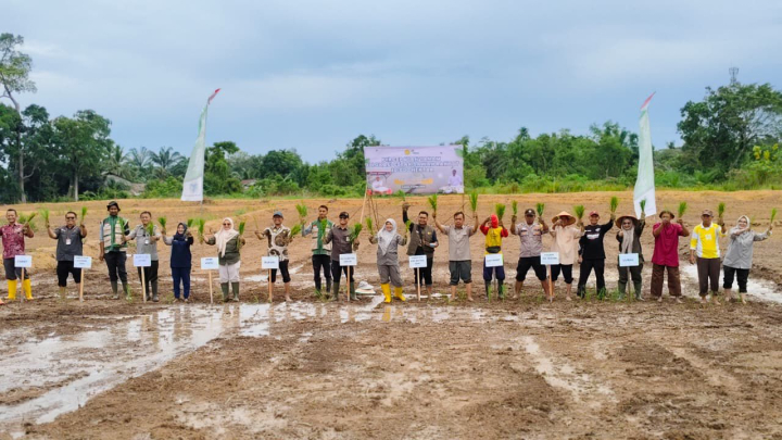 Kementan Genjot Tanam Serentak 10.000 Hektare, Antisipasi Dampak El Nino