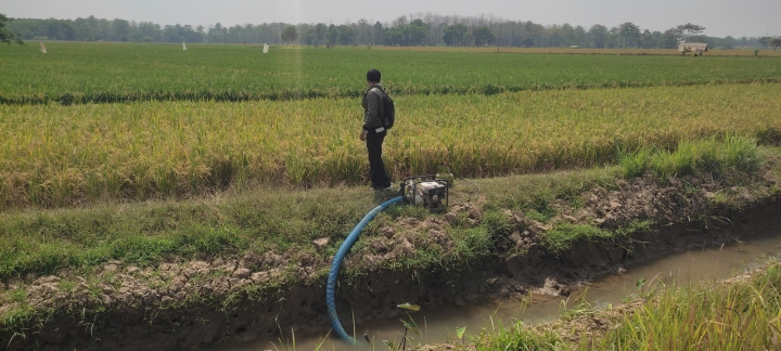 Potensi Kekeringan Meningkat, Kementan Genjot Pemanfaatan Pompa Air