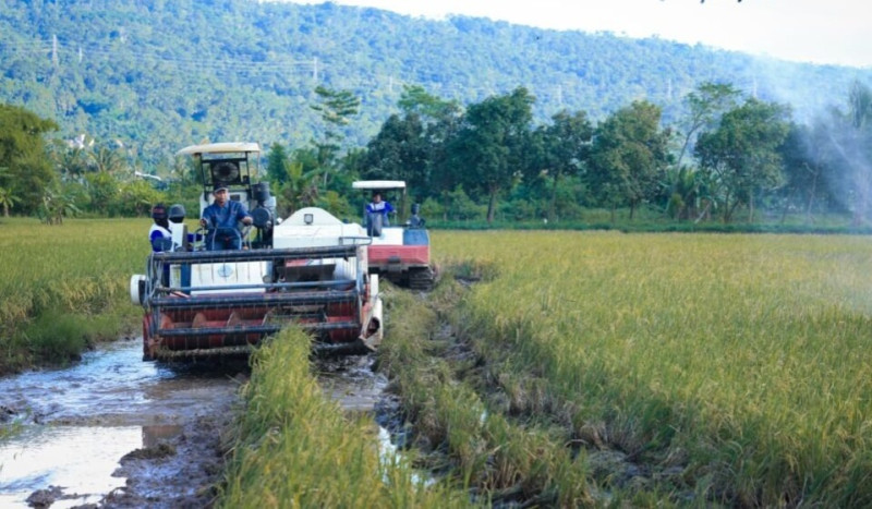 Menuju Swasembada Pangan, Jateng Terus Tancap Gas dengan Strategi Nyata