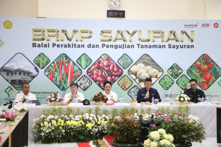 Kementan Perkuat Perbenihan Bawang Putih, DPR Dorong Kemandirian Produksi
