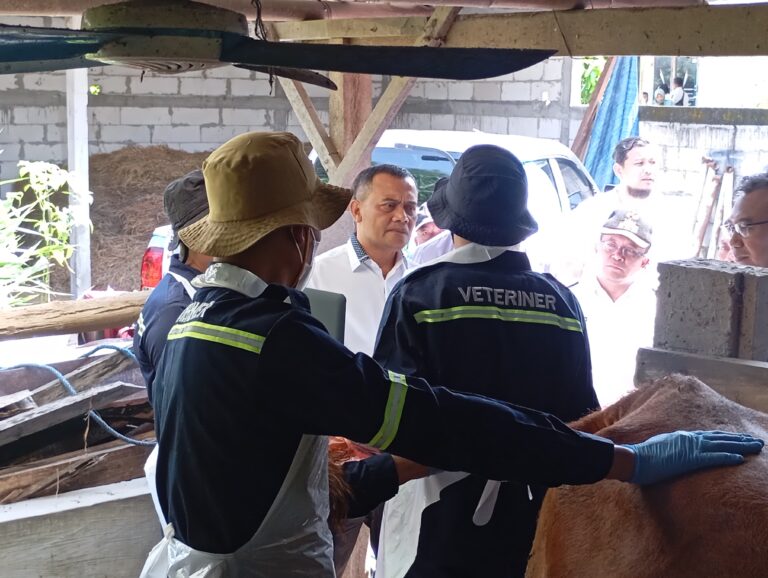 Jateng Pastikan Ternak Sehat, Program Healing Diperkuat Jelang Idul Adha