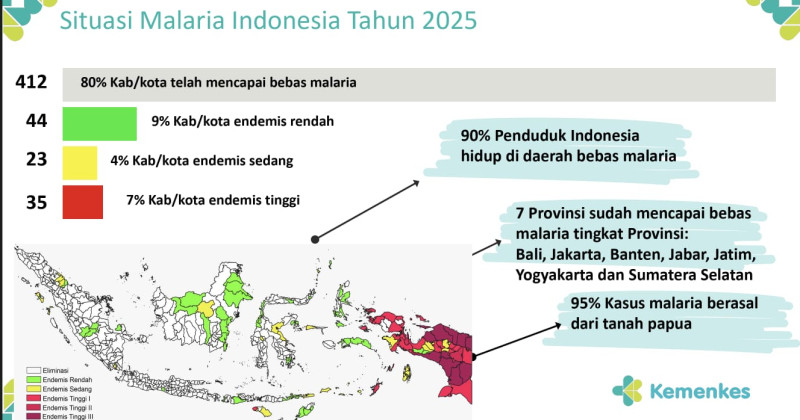 Upaya Eliminasi Malaria Butuh Konsistensi, Pemerintah Targetkan Bebas pada 2030