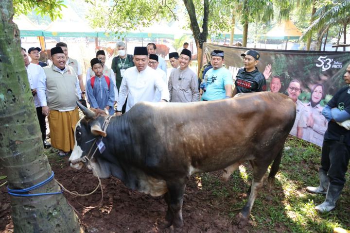 Pasokan Hewan Kurban Nasional Surplus 800 Ribu Ekor