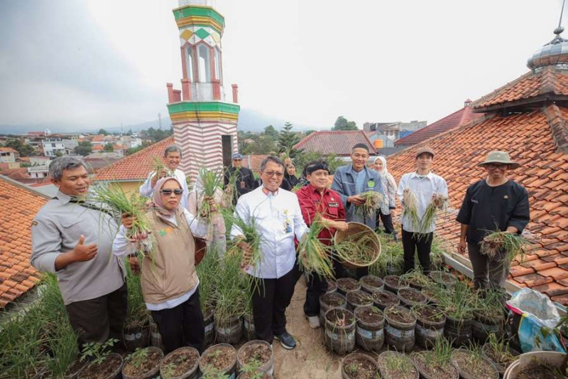 Wakaf Hijau di Bandung Dorong Ketahanan Pangan dan Ekonomi Jemaah Masjid