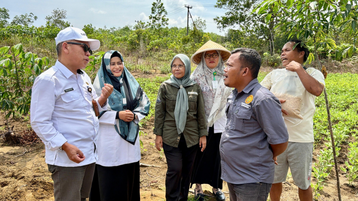 Kementan Perkuat Pengawalan Program Pertanian di 38 Provinsi Lewat BRMP
