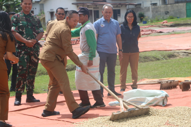 Bupati Taput Tinjau Produksi Kopi PT SSC, Dorong Penguatan Industri Kopi Lokal