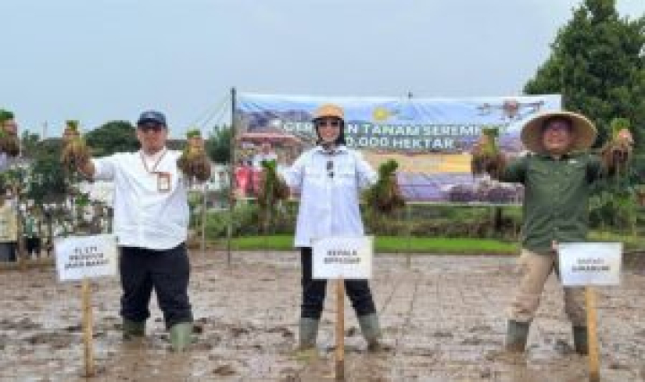 Kementan Percepat Optimasi Lahan untuk Dukung Swasembada Pangan Nasional