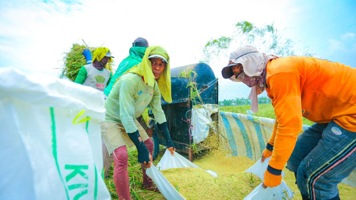 Produksi Beras Semester I 2026 Naik Tipis, BPS: Tren Tetap Stabil