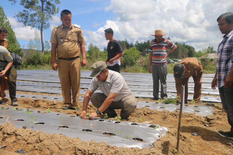 BUMDes Sisordak Didorong Jadi Pemasok Program MBG di Taput