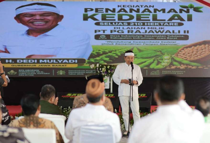 Gubernur Dedi Mulyadi Dorong Swasembada Kedelai