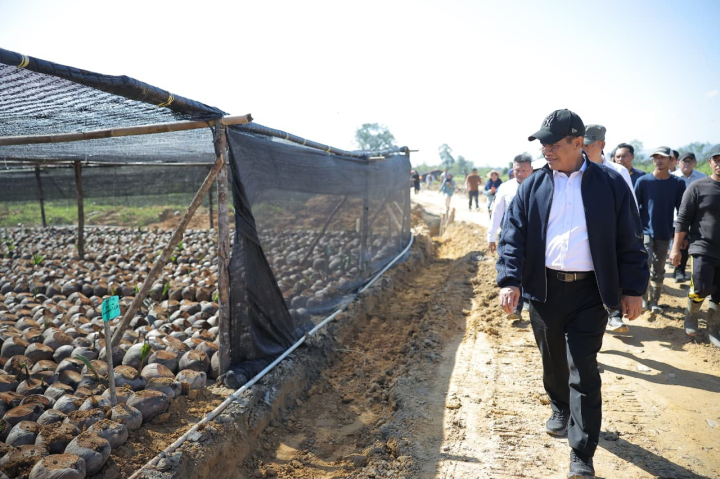 Mentan Amran Puji Kualitas Bibit Kelapa dan Kakao di Konawe Selatan, Siap Jadi Percontohan Nasional