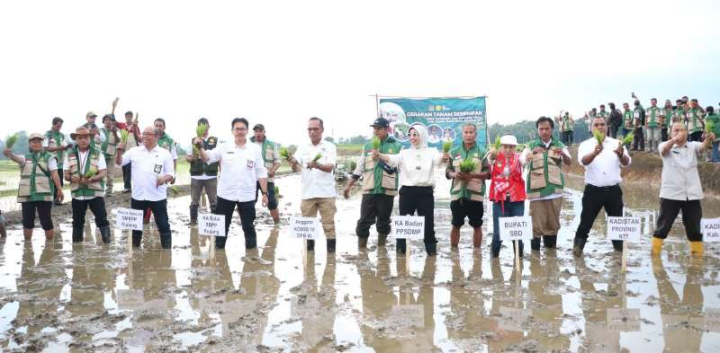 Gerakan Tanam Serempak 52 Ribu Hektare, Kementan Percepat Swasembada Pangan
