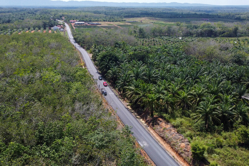 Perbaikan Jalan Hutaimbaru-Sipiongot Mulai Berdampak Positif, Warga Rasakan Kemudahan Mobilitas dan Peningkatan Ekonomi