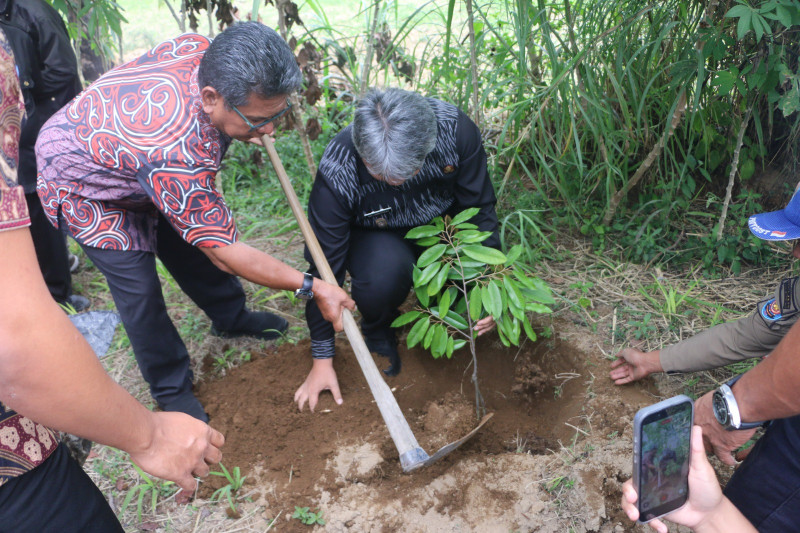 Pemkab Taput dan PT Taspen Salurkan 1.500 Bibit Durian Musang King untuk 15 Kelompok Tani