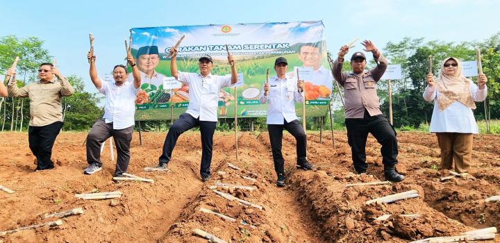 Gerakan Tanam Serentak Tebu di Pekalongan Digenjot untuk Percepat Swasembada Gula Nasional