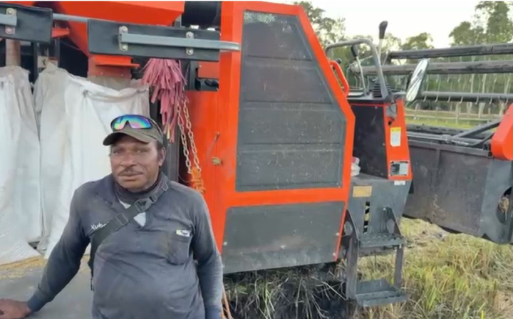 Petani OAP Milenial di Merauke Sukses Bangun Rumah dan Sekolahkan Anak dari Hasil Bertani Padi