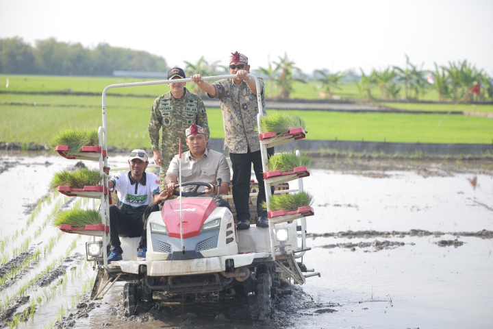 Wamentan Sudaryono Percepat Gerakan Tanam 750 Hektar di Lamongan