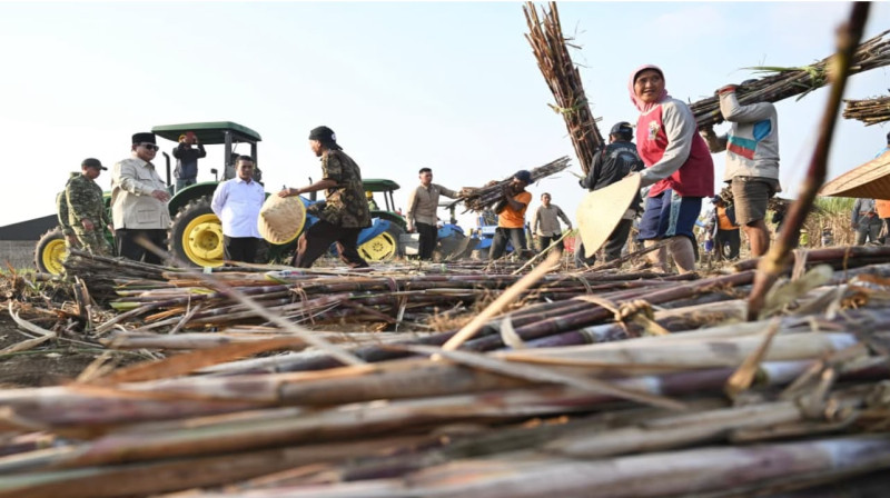 Petani Akui Program Pemerintah Tingkatkan Produktivitas dan Ketahanan Pangan