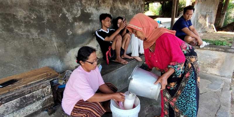 Pemprov Jateng Dorong Peternak Terapkan Silase untuk Jaga Produksi Susu Saat Kemarau