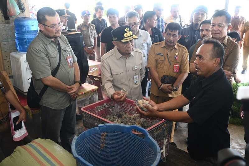 Wagub Sumut Dorong Hilirisasi Rumput Laut di Nias Utara