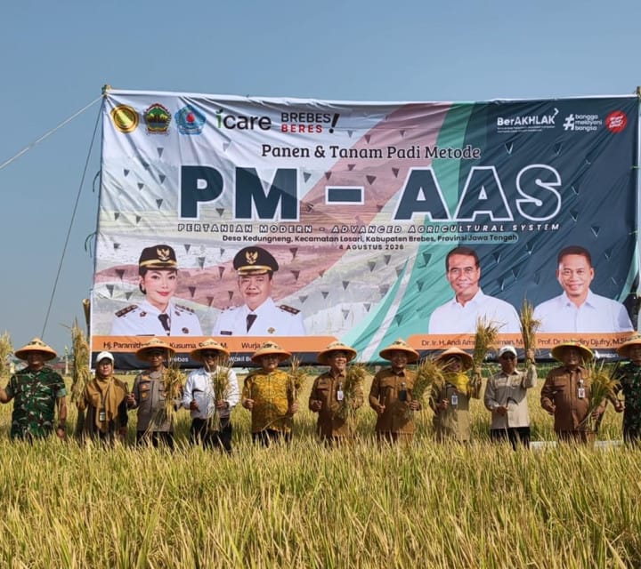PM-AAS Dongkrak Produktivitas Padi di Brebes hingga 10,43 Ton per Hektare