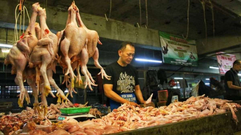 Pasokan Pangan Kota Bandung Aman, Harga Ayam dan Timun Alami Kenaikan
