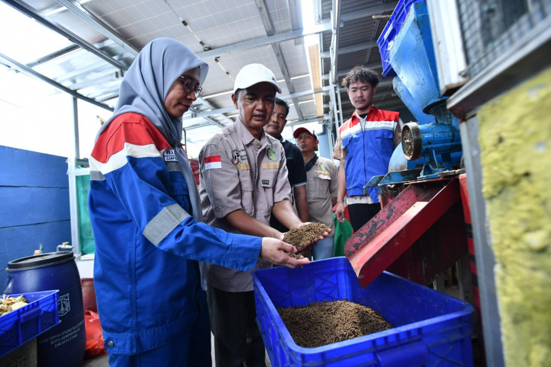 Gang Hijau Cemara Ubah Sampah Menjadi Sumber Ekonomi dan Ketahanan Pangan