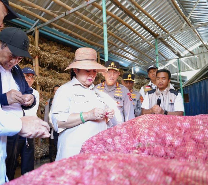 Kementan Gelontorkan Rp55,65 Miliar untuk Dorong Swasembada Bawang Putih di Lombok Timur