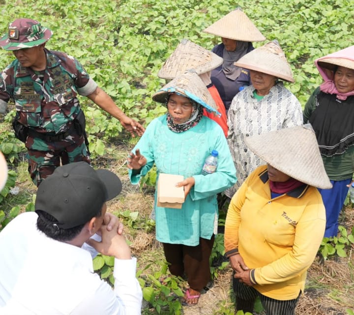 Mentan Amran: TNI Bantu Petani Tanpa Honor Tambahan