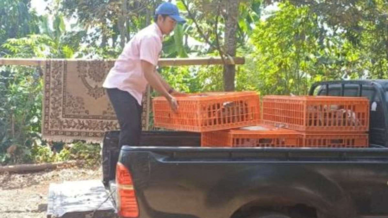 Pemprov Jabar Salurkan Bantuan Peternakan ke Kelompok Ternak di Bandung Barat