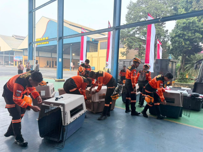 Polri Kerahkan 10 K9 SAR ke Flores untuk Percepat Pencarian Korban Gempa