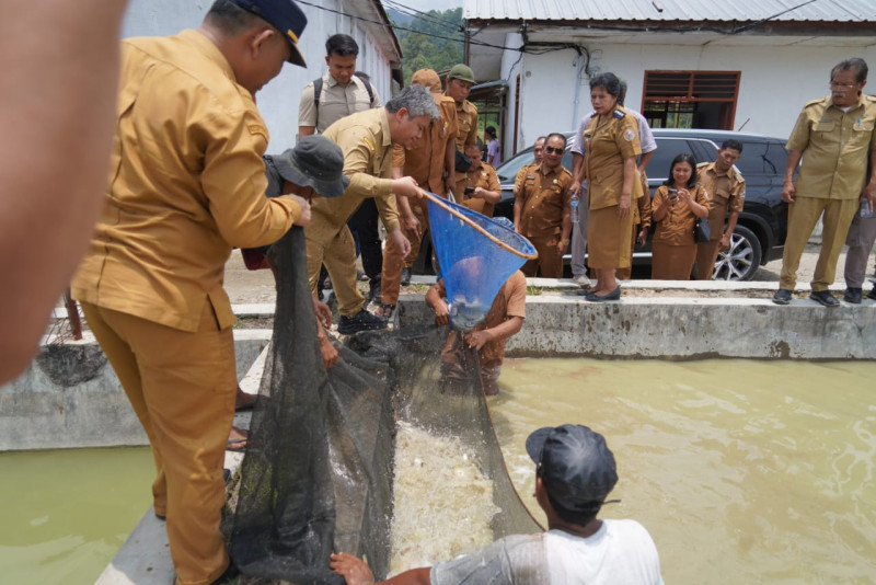 Pemkab Taput Dorong BBI Purbatua Jadi Pusat Percontohan Budidaya Ikan