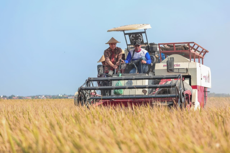 Produksi Padi Jateng Capai 6,69 Juta Ton, Target 10,5 Juta Ton Optimistis Tercapai