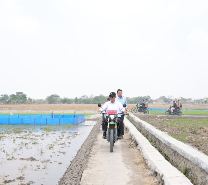 Mentan Amran Sidak Sawah Karawang, Dorong Petani Tanam Tiga Kali Setahun