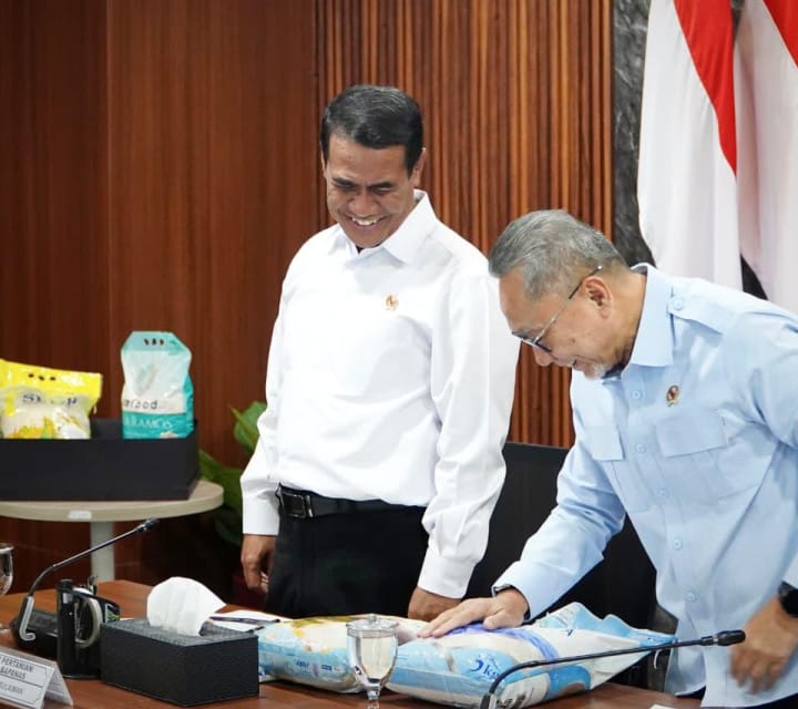 Pemerintah Pastikan Stok Beras Aman, SPHP Ditambah 1 Juta Ton