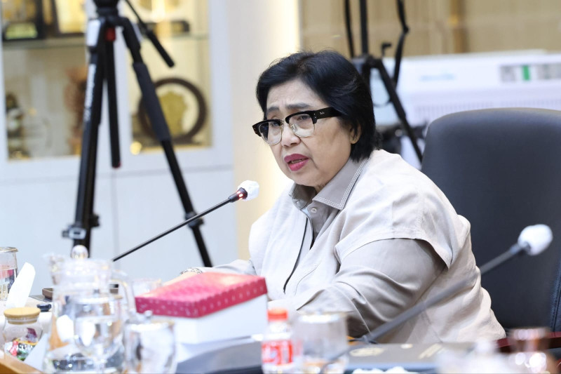 DPR Desak Pemerintah Tetapkan Wilayah Terdampak Karhutla sebagai KLB