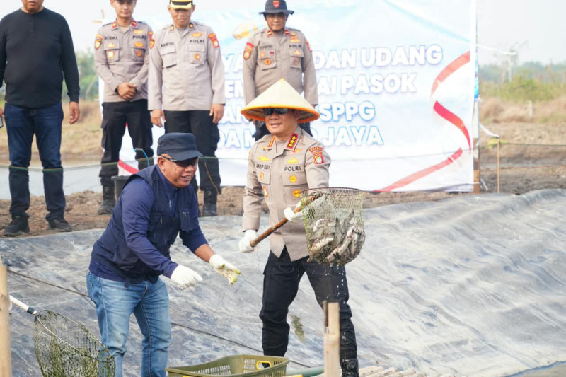 Polri Perkuat Rantai Pasok Pangan untuk Dukung Program MBG