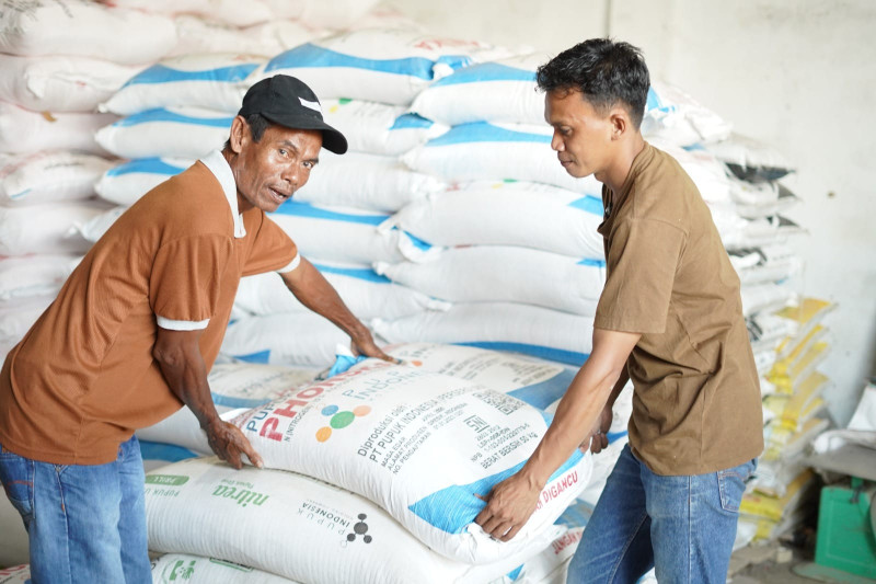 Harga Pupuk Subsidi Turun 20 Persen, Pemerintah Dorong Peningkatan Pendapatan Petani